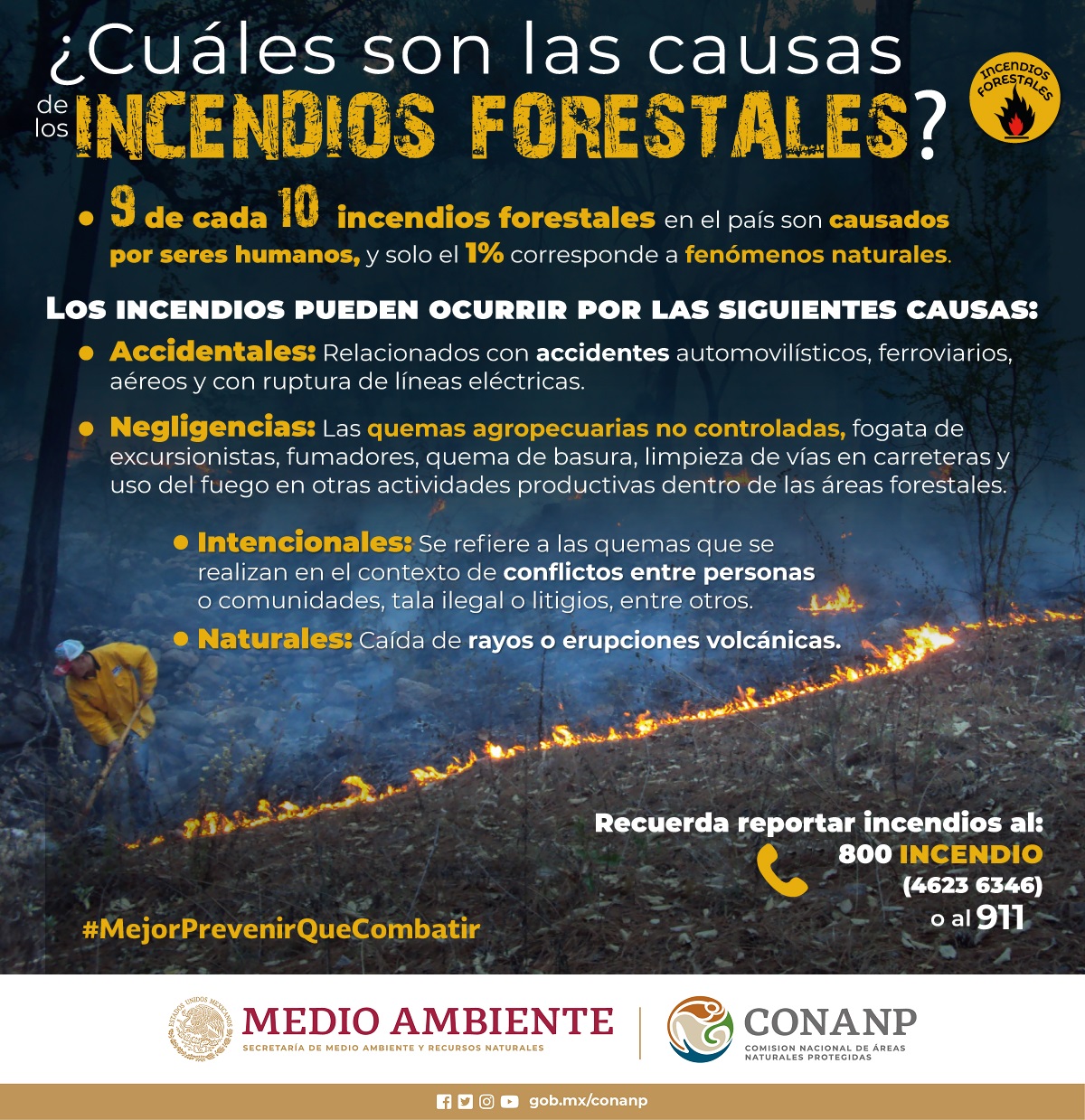 /cms/uploads/image/file/636391/Infograf_a-Incendios-Forestales-Causas.jpg