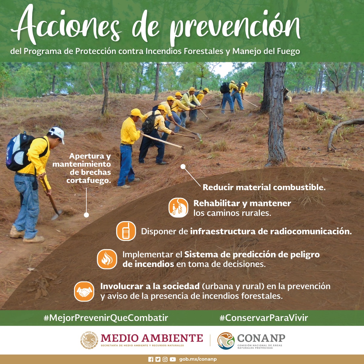 /cms/uploads/image/file/636392/Infograf_a_Acciones-de-Prevenci_n-del-Programa-contra-Incendios-Forestales-y-Manejo-de-Fuego_2.jpg