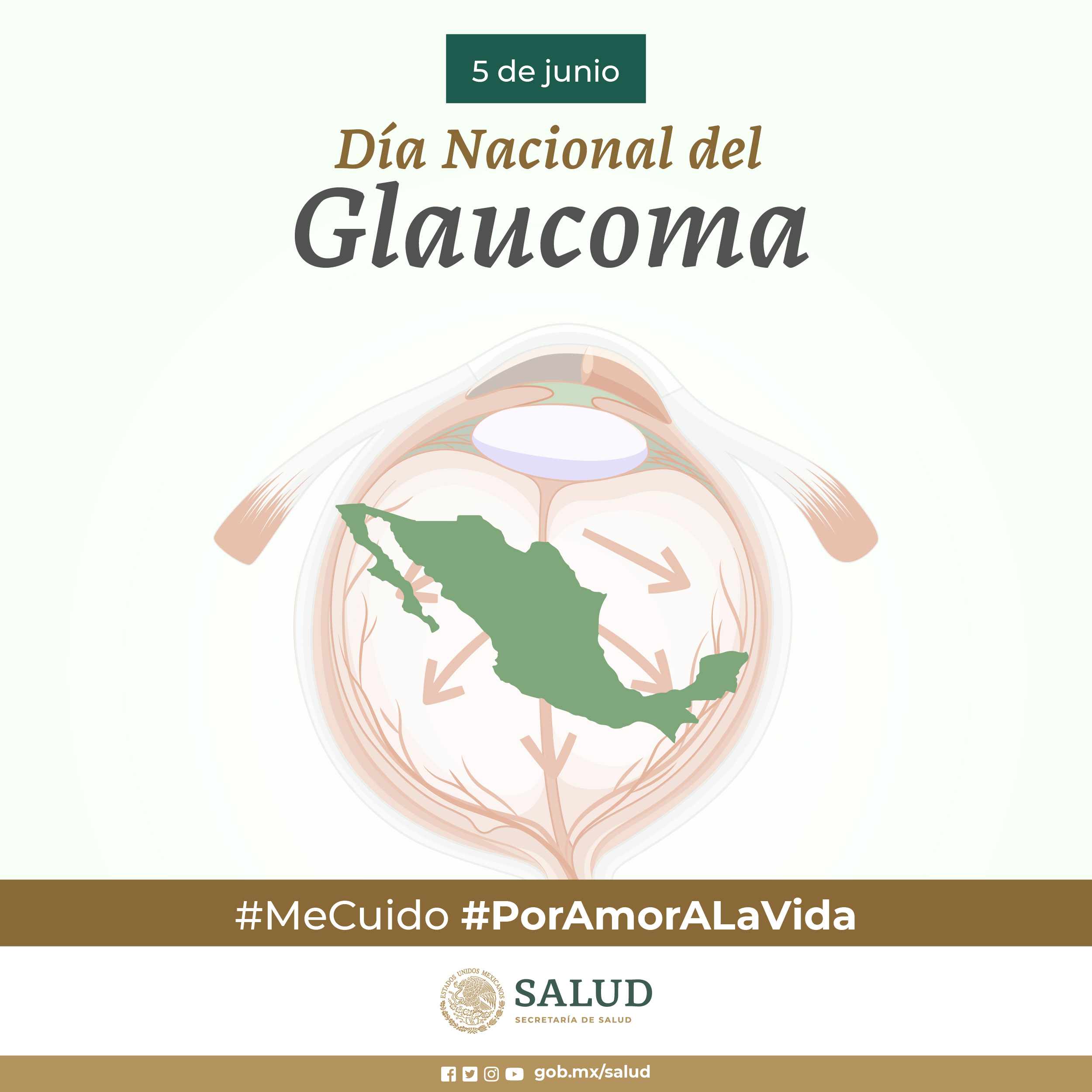 /cms/uploads/image/file/652479/05_D_a_Nacional_del_glucoma-01.jpg