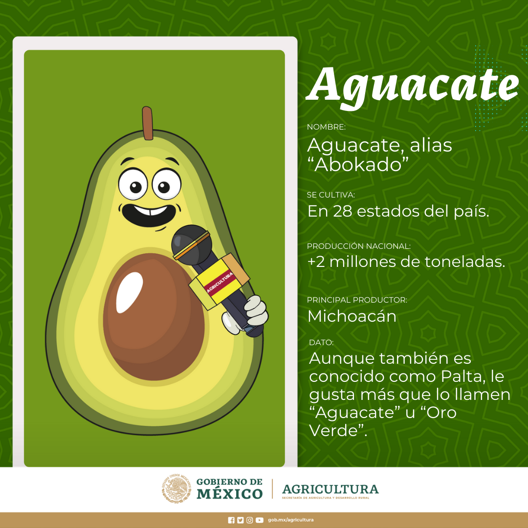 /cms/uploads/image/file/660966/AGUACATE.png