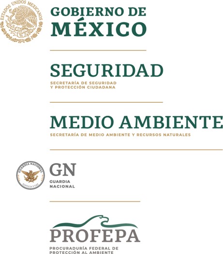 Denuncia la Tala ilegal y la Deforestación | Secretaría de Seguridad y  Protección Ciudadana | Gobierno | gob.mx