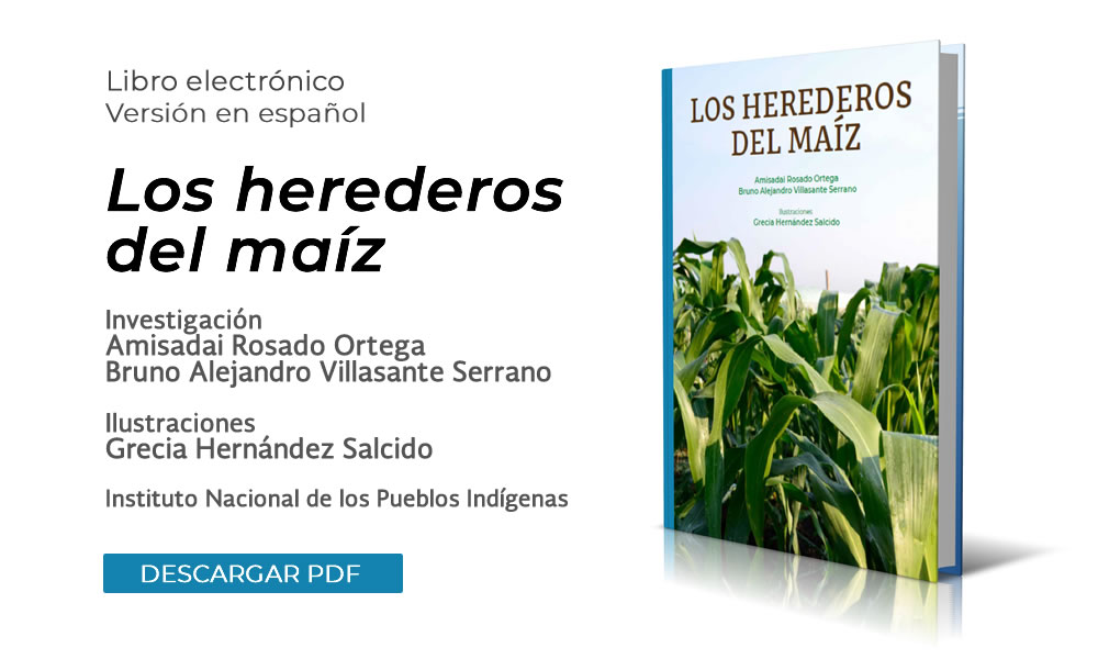 INPI. ¿Sabes cuántos tipos de maíz existen? Descarga el libro "Los herederos del maíz" para conocer más del tema.