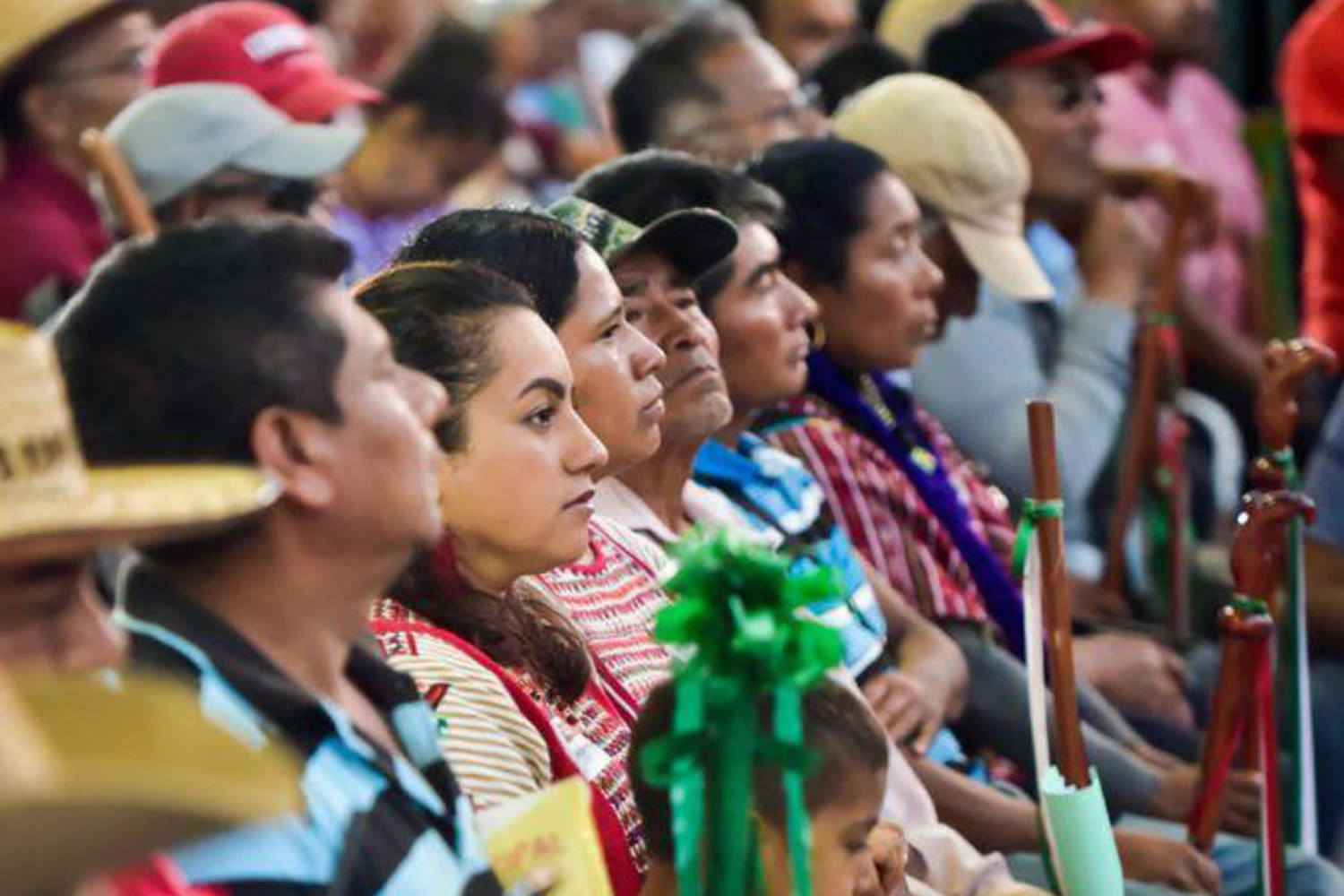 Se publica en el DOF Decreto que aprueba el Programa Especial de los Pueblos Indígenas y Afromexicano 2021-2024.
