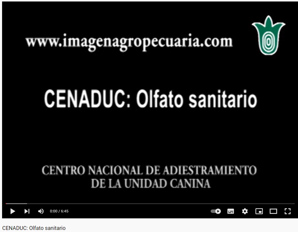 /cms/uploads/image/file/741398/Olfato_sanitario.jpg