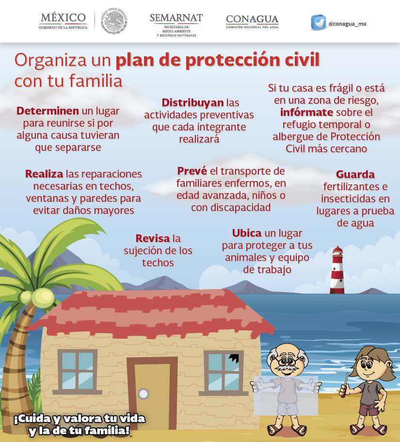 Reúnete con tu familia y organicen un plan de protección civil en donde cada uno tenga responsabilidades específicas.