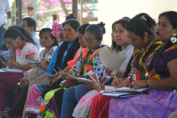 Luchan mujeres indígenas y afromexicanas por sus derechos individuales y colectivos.