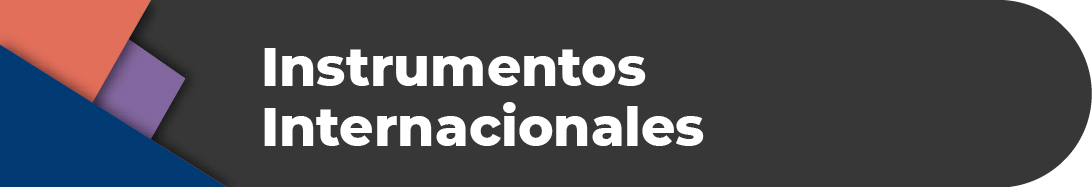 /cms/uploads/image/file/801118/_conos_normateca_Instrumentos_Internacionales.jpg
