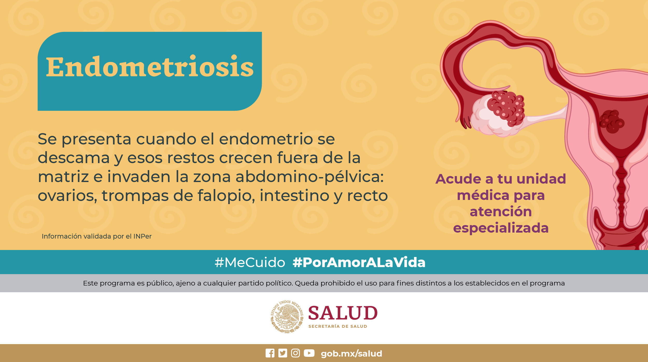 /cms/uploads/image/file/807142/14_MARZO_Di_a_Mundial_de_la_Endometriosis-08.jpg