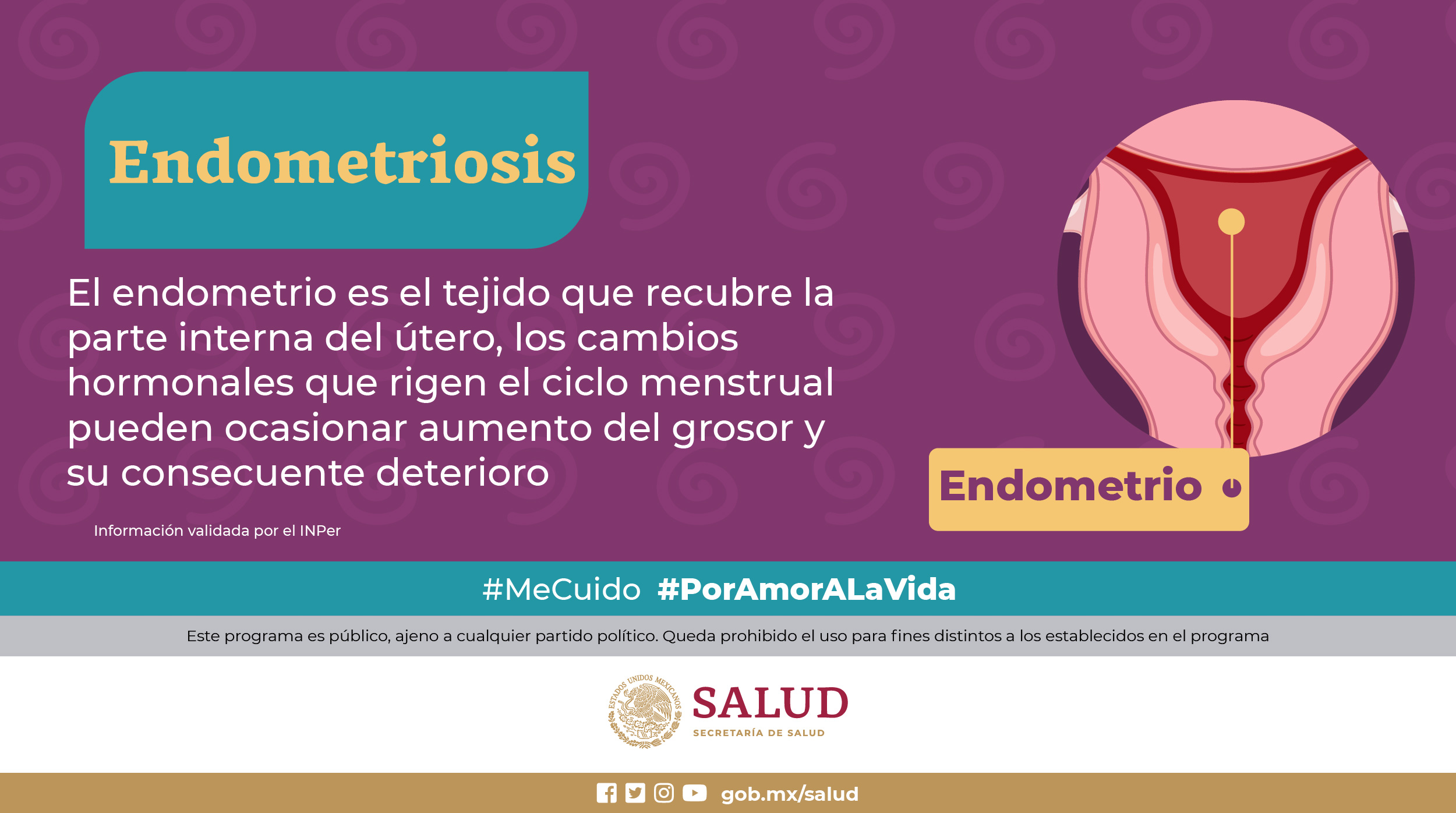 /cms/uploads/image/file/807143/14_MARZO_Di_a_Mundial_de_la_Endometriosis-09.jpg