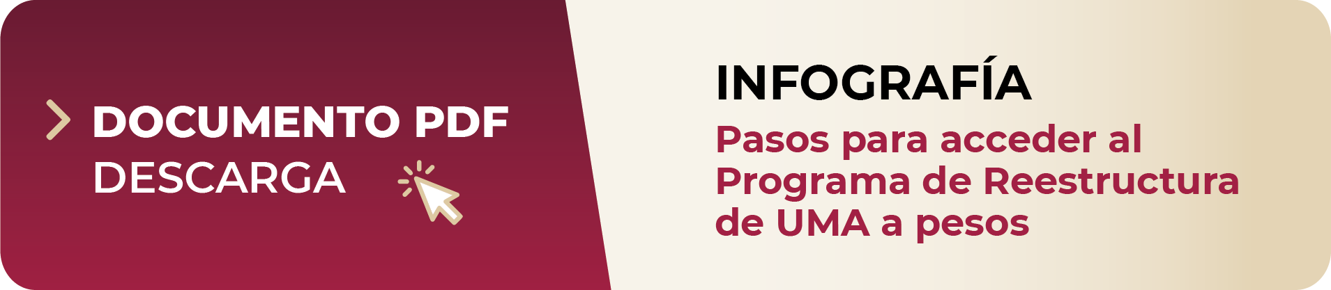 Infografía, Pasos para acceder al Programa de Reestructura de UMA a pesos, Documento PDF descarga