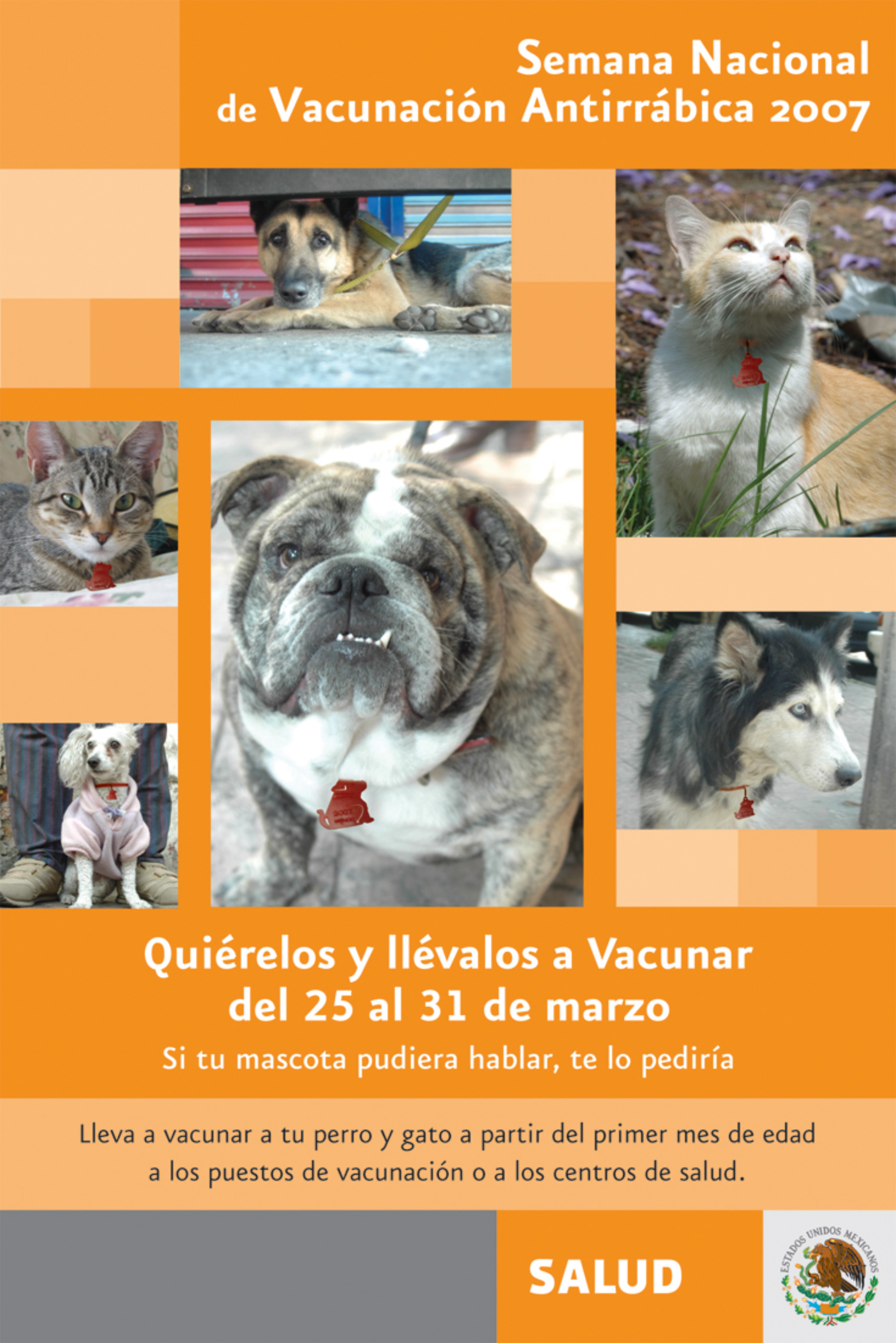 Cartel conmemorativo de la Semana Nacional de Vacunación Antirrábica Canina y Felina 2007