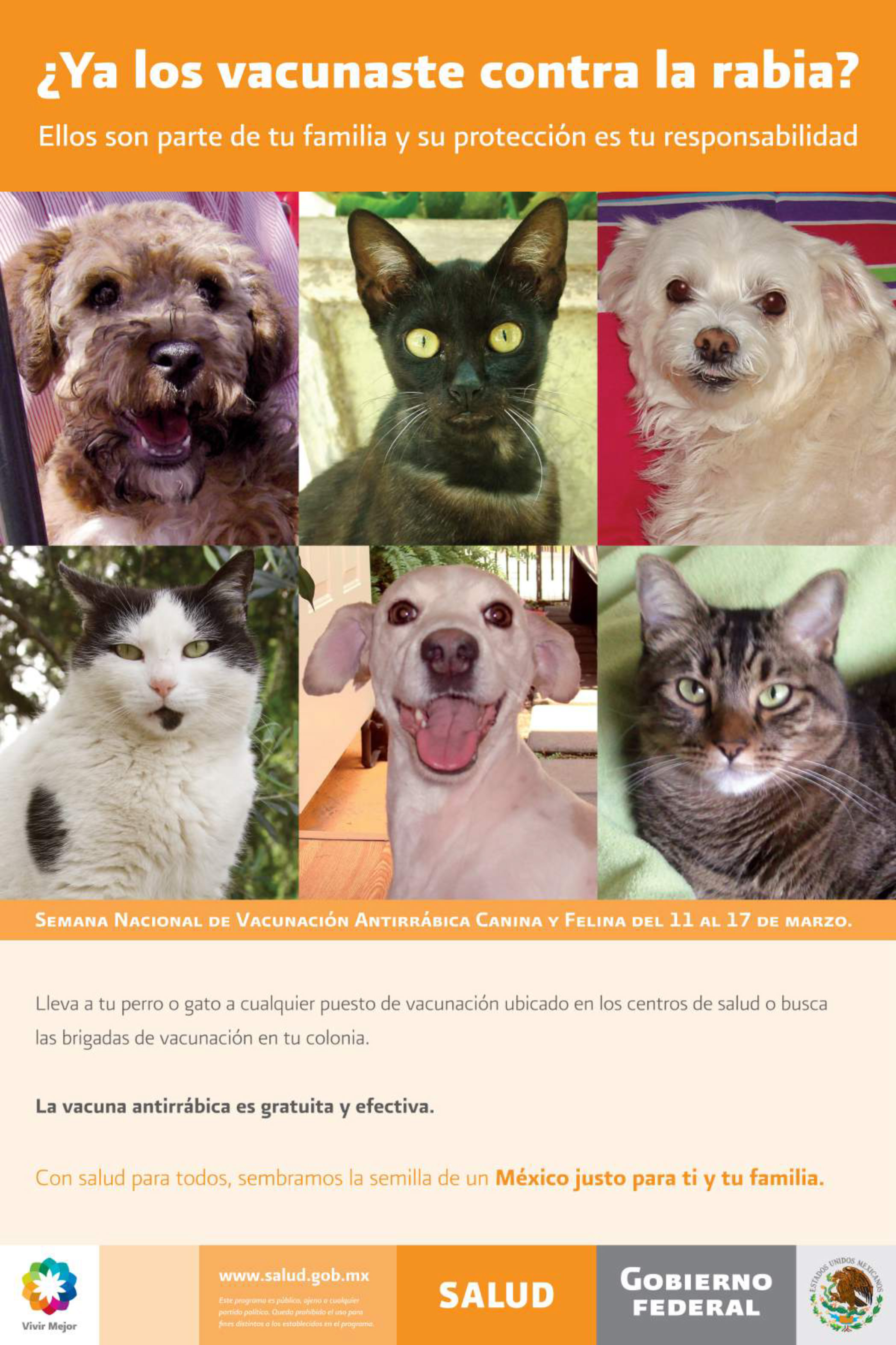 Cartel conmemorativo de la Semana Nacional de Vacunación Antirrábica Canina y Felina 2012