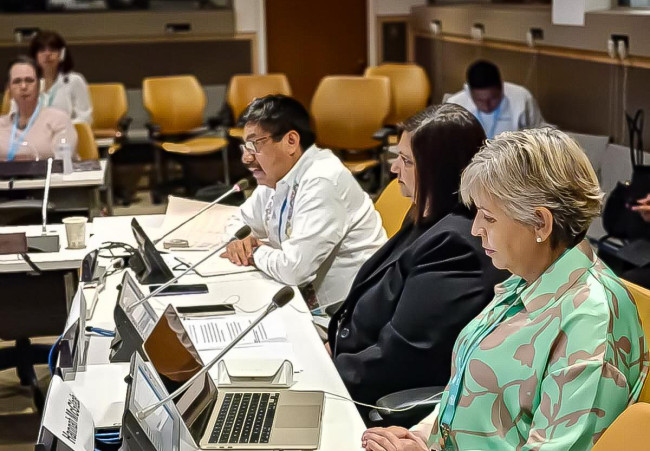 Destaca Gobierno de México en la ONU, compromiso para reconocer la medicina tradicional en el Sistema de Salud Público.