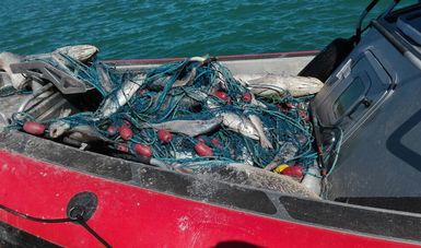 Suspendida pesca en ANP del Alto Golfo de California y Delta del Rio Colorado: PROFEPA