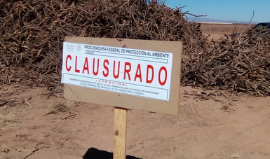 CLAUSURA PROFEPA PREDIO POR REMOCIÓN DE VEGETACIÓN FORESTAL SIN AUTORIZACIÓN EN CHIHUAHUA