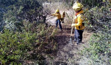 Controlan incendio forestal en Nochixtlán, Oaxaca
