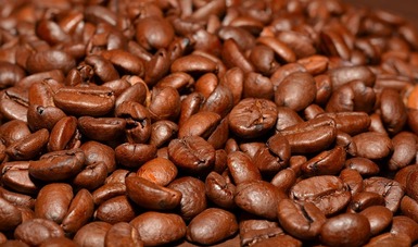 Producción de café