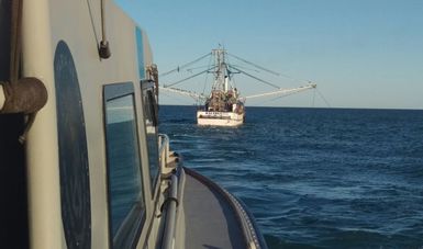 Aseguran PROFEPA y SEMAR tres embarcaciones mayores por pesca ilegal en Alto Golfo de California y Delta del Río Colorado 