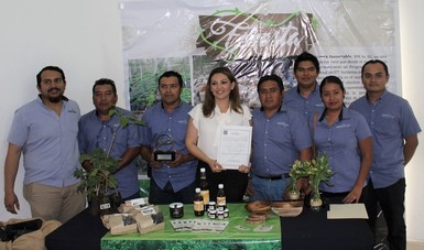 Entregan certificación a empresa forestal de Yucatán