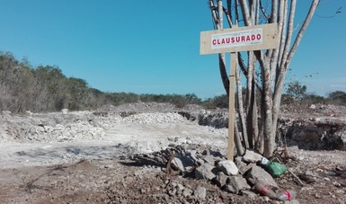 PROFEPA clausuró de manera total temporal un predio ubicado en el municipio de Tetiz, Yucatán.