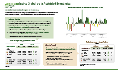 (IGAE) Indicador Global de la Actividad Económica del mes de enero 2016