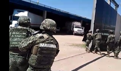 aseguran y destruyen más de 16 toneladas de marihuana, en Culiacán, Sinaloa.