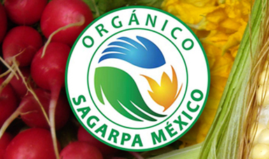 Michoacán también ostenta el primer lugar a nivel nacional por número de municipios con superficie orgánica.