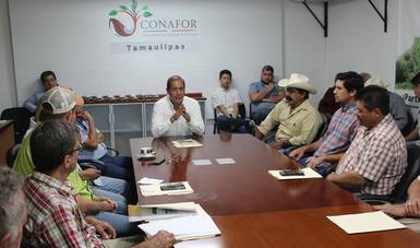 Asigna CONAFOR 13 mdp para plantaciones comerciales en Tamaulipas