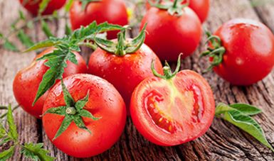 Boletín mensual de avance de la producción de tomate rojo (jitomate)