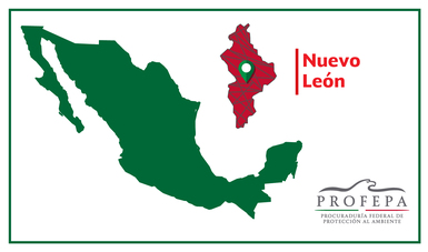 La PROFEPA sorprendió a una persona comercializando  a un ejemplar de Perico mexicano en el Estado de Nuevo León.