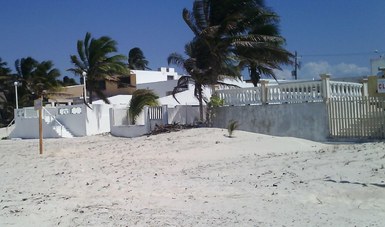 La PROFEPA clausuró de manera total temporal las obras y actividades relacionadas con remoción de vegetación natural realizadas con maquinaria pesada en “El Playón”, en Progreso, Yucatán.