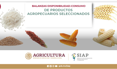 Balanzas disponibilidad-consumo de productos agropecuarios seleccionados