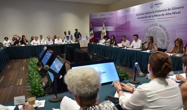 Mesa de Alto Nivel para Definir Acciones Contra la Violencia de Género en Veracruz

