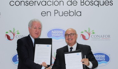 Conservarán 4 mil  hectáreas de bosques en Puebla