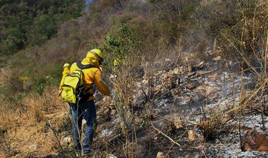 Presenta Colima disminución del 67% en superficie afectada por incendios
 
