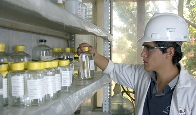 Trabajador bien equipado supervisando unos frascos con químicos.