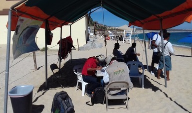 La PROFEPA multó con $101,911.50 pesos a siete establecimientos comerciales  ubicados en la zona donde desemboca el arroyo Salto Seco al mar, en Cabo San Lucas, Baja California Sur, por no contar con autorización en materia de Impacto Ambiental.