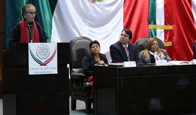 María Angélica Luna Parra, titular del Indesol, participó en la reunión de parlamentarios locales de la Comisión de Atención a Grupos Vulnerables