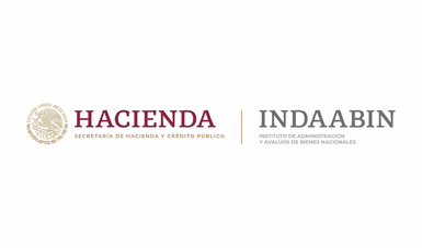 Logotipo Hacienda - INDAABIN