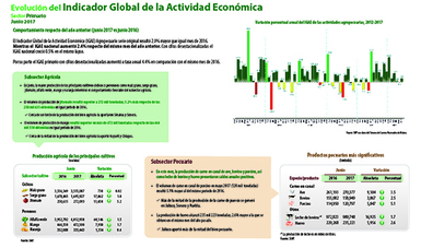 (IGAE) Indicador Global de la Actividad Económica del mes de junio 2017