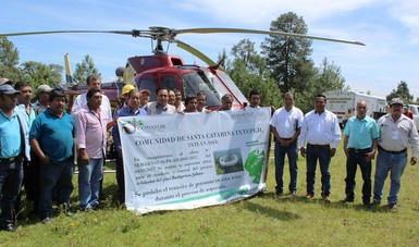 Destina CONAFOR 3.9 mdp para tratamientos fitosanitarios en Oaxaca