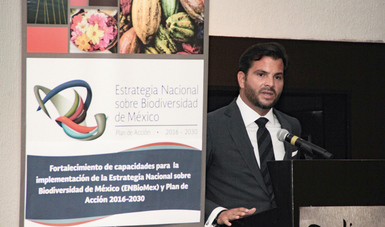 Fortalecimiento de capacidades para la implementación de la Estrategia Nacional  sobre Biodiversidad de México (ENBioMex) . Plan de acción 2016-2030.