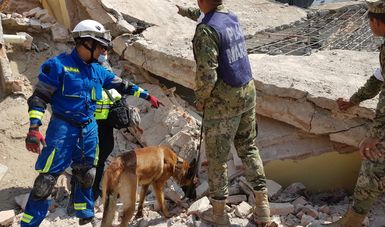 El Equipo de Búsqueda y Rescate en Estructuras Colapsadas de la SEMAR realiza acciones de ubicación y extracción de víctimas atrapadas por el sismo