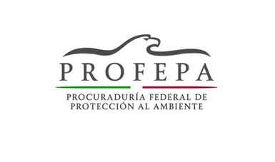 PROFEPA informa que fueron realizados tres dictámenes en materia estructural a la sede central de sus instalaciones en la Ciudad de México, los cuales garantizan la seguridad de los trabajadores y personas, tras los sismos del 19 y 23 de septiembre.