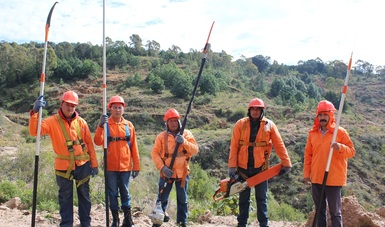 Presentan 62% de avance trabajos de sanidad forestal en Tlaxcala