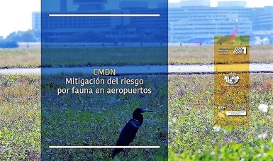 Impartirá CIIASA curso CMDN “Mitigación del riesgo por fauna en aeropuertos”