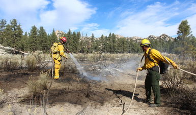 Realizan combatientes prácticas de prevención de incendios en Baja California