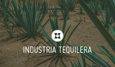 Con este instrumento se formalizó la donación de 2,002 botellas de tequila que 75 empresas.