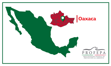 La PROFEPA sancionó administrativa y económicamente a la empresa Don David Gold México, S.A. de C.V., que opera en  Oaxaca sin Licencia Ambiental Única (LAU) o Licencia de Funcionamiento que expide la SEMARNAT e incumplir con la normatividad ambiental.