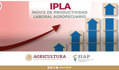 Índice de Productividad Laboral Agropecuario (IPLA)
